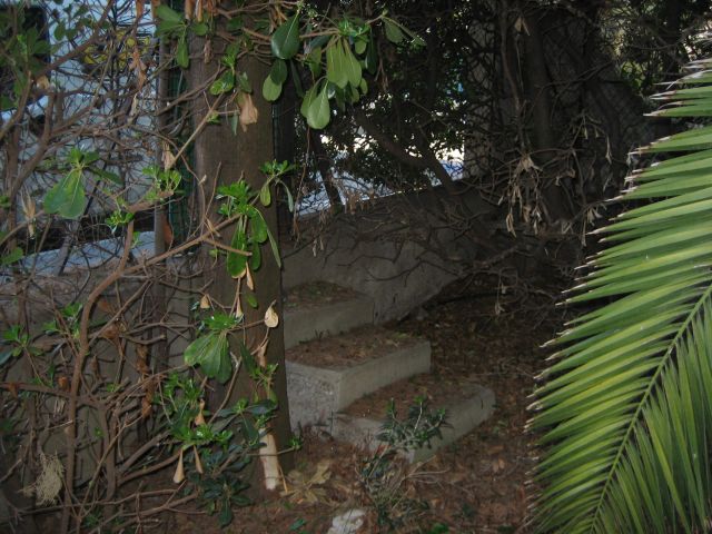 IMG_8820.JPG