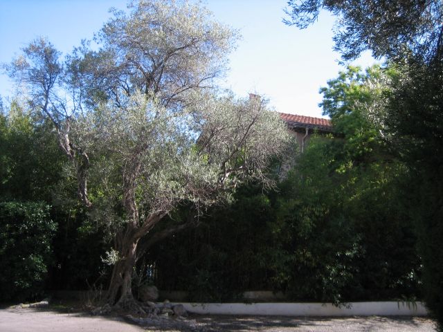 IMG_8776.JPG