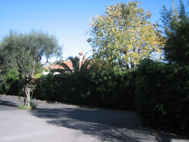 IMG_8777.JPG